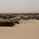 Illustration for article titled Gloomy tank graveyards hold the rusting bones of war
